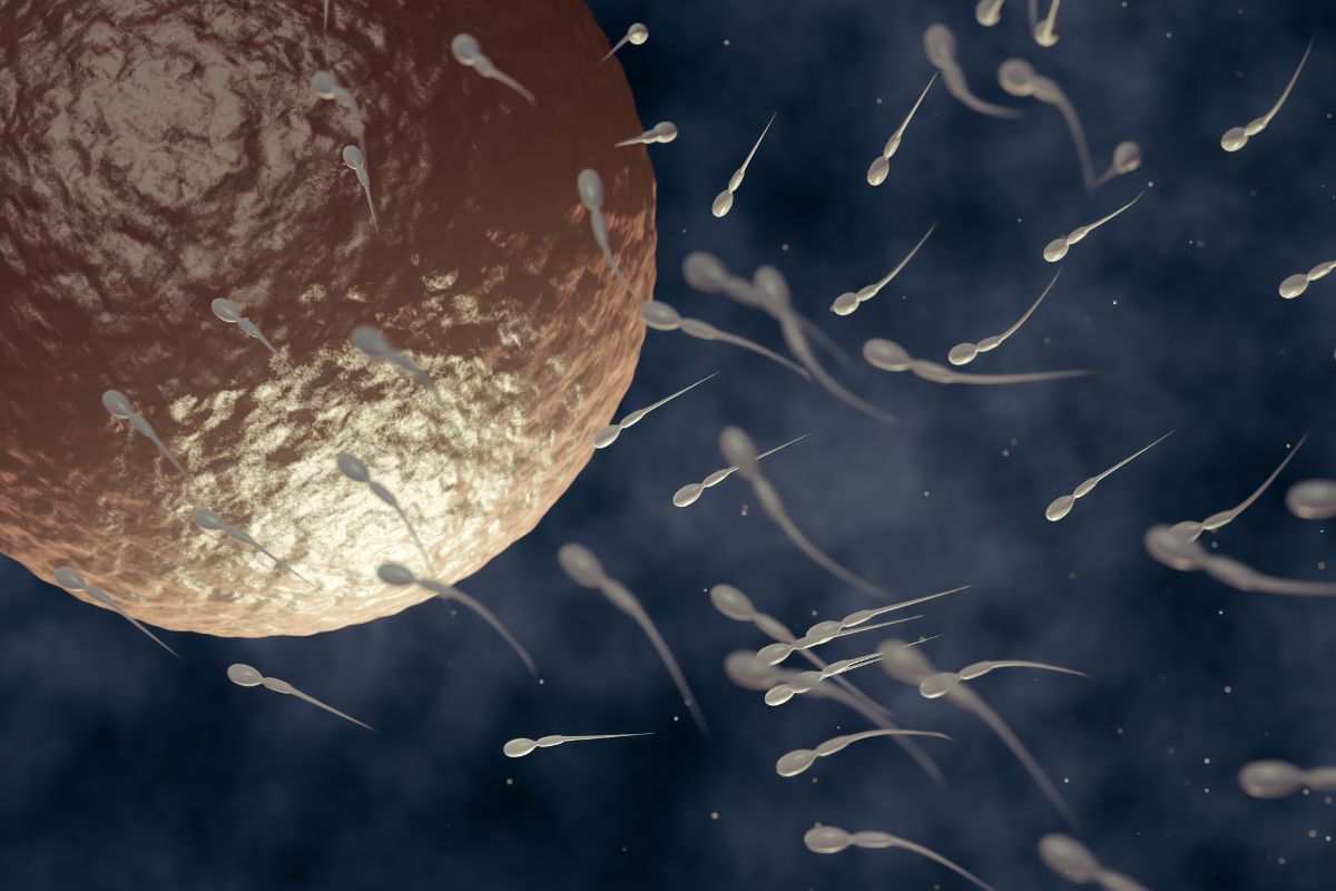 Gravità zero e fertilità: cosa succede davvero agli spermatozoi nello spazio
