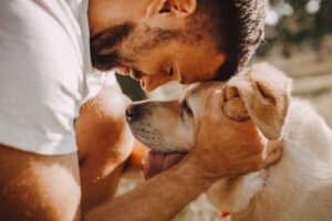 Cani e uomini, la verità che cambia tutto: il DNA riscrive l’origine della loro amicizia